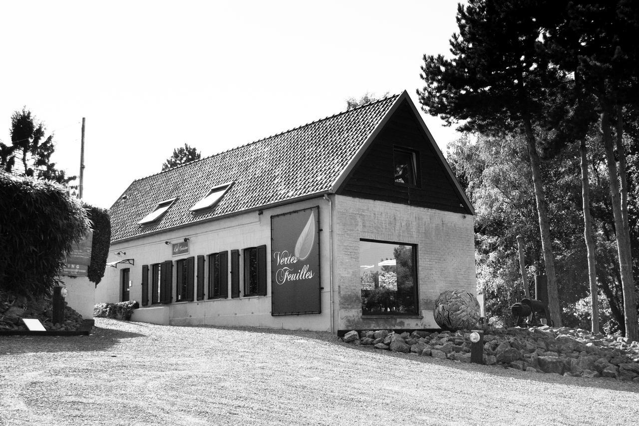 Vertes Feuilles Saint-Sauveur Zewnętrze zdjęcie